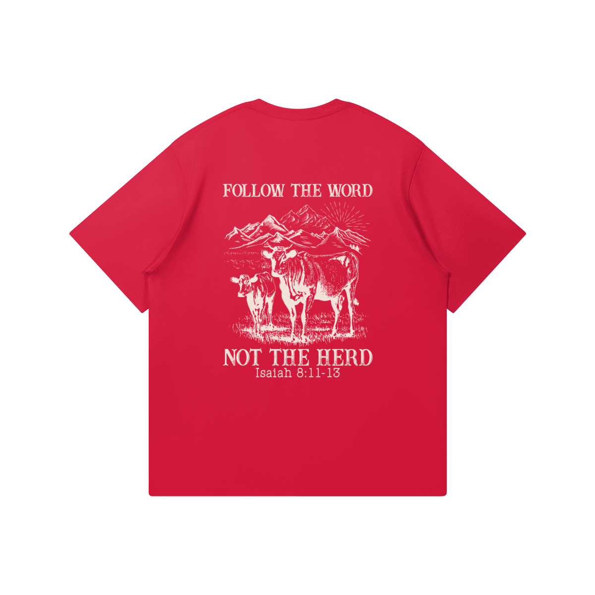 0-YEP-Back Side